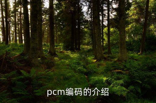 脈沖編碼調(diào)制，什么是PCM