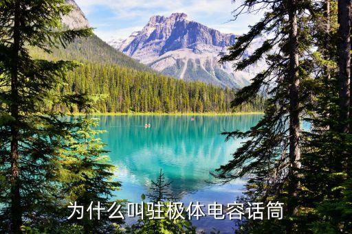 駐極體話筒，駐極體電容話筒