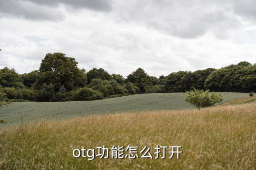 otg模式，如何打開(kāi)華為手機(jī)OTG模式