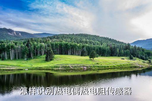 熱電阻傳感器，熱電阻式傳感器有哪些類型