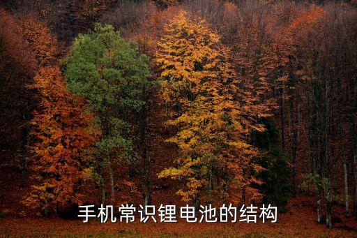 手機常識鋰電池的結(jié)構(gòu)