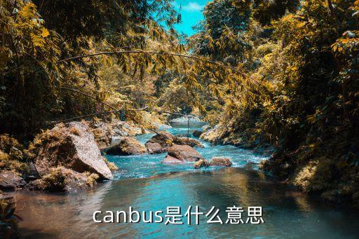 canbus，canbus是什么意思