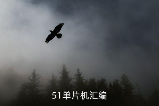 51系列單片機(jī)，51單片機(jī)匯編