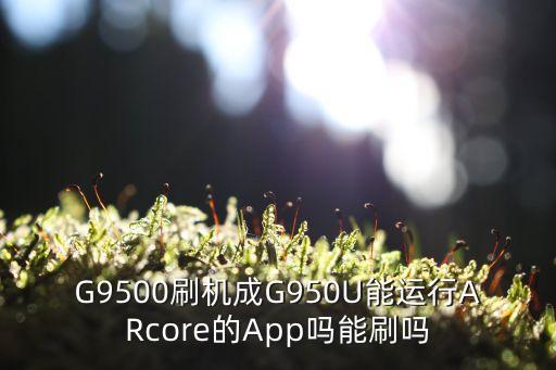 G9500刷機(jī)成G950U能運(yùn)行ARcore的App嗎能刷嗎