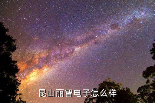 麗智，有誰知道麗智電子怎么樣