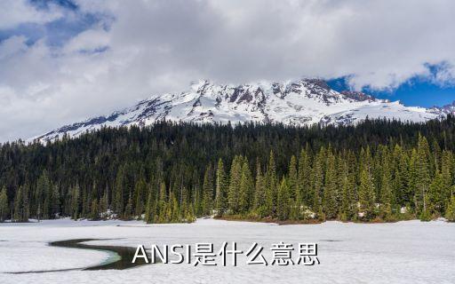 ansi，ANSI是什么意思