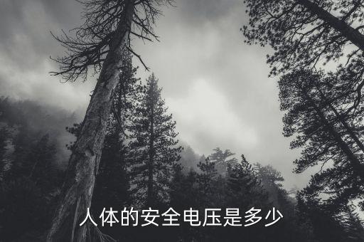人體安全電壓，人體的安全電壓是多少