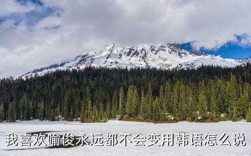 喻俊，我喜歡喻俊永遠(yuǎn)都不會(huì)變用韓語(yǔ)怎么說(shuō)