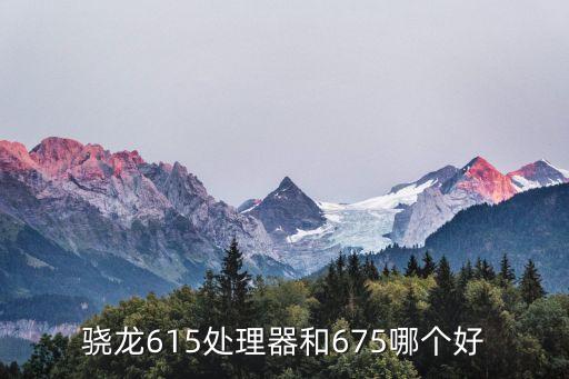 驍龍675，驍龍675可以用幾年