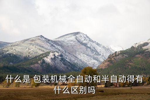 枕式包裝機(jī)自動化設(shè)備,佛山自動化設(shè)備包裝機(jī)