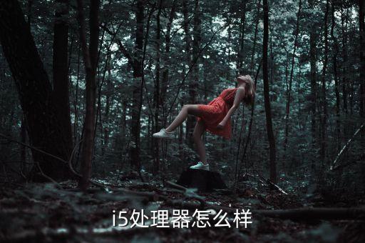 英特爾酷睿i5，i5處理器怎么樣