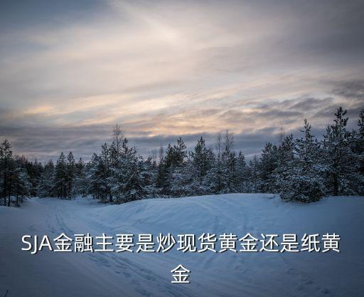 sja，sja 是哪一個場口的石頭