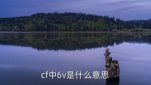 6v，6V是什么意思