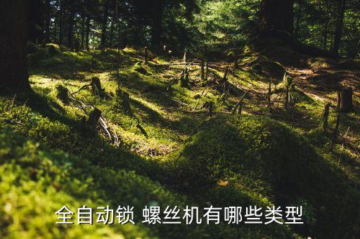 全自動鎖 螺絲機(jī)有哪些類型