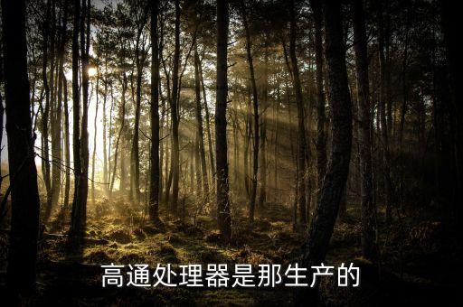 高通是哪個國家的，高通梟龍是哪個國家的