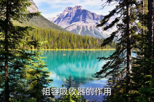 阻容吸收器，那位知道什么是阻容吸收電路
