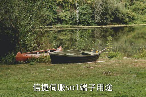 天津信捷自動化設(shè)備調(diào)試,自動化設(shè)備調(diào)試很難嗎?
