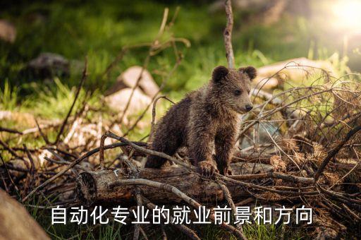 自動(dòng)化專業(yè)就業(yè)面,自動(dòng)化專業(yè)就業(yè)前景好嗎?