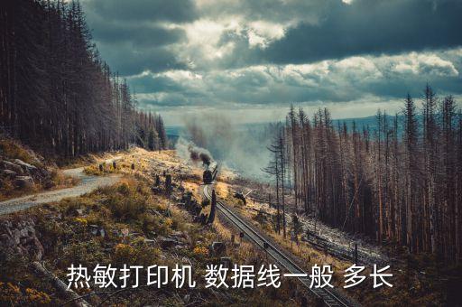 熱敏打印機(jī) 數(shù)據(jù)線一般 多長