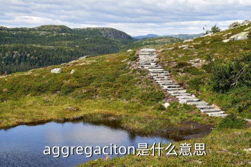 aggregation，aggregaciton是什么意思