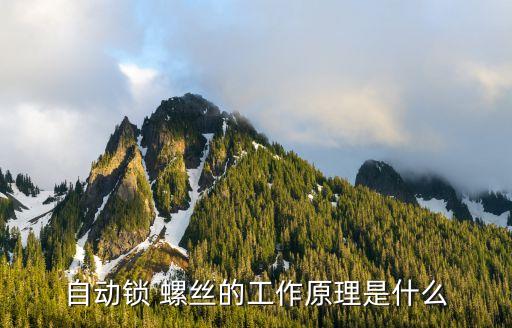 自動鎖 螺絲的工作原理是什么