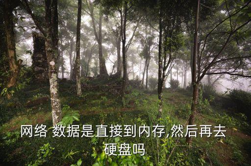 數(shù)據(jù)怎么用硬盤存儲怎么用硬盤寫出來嗎