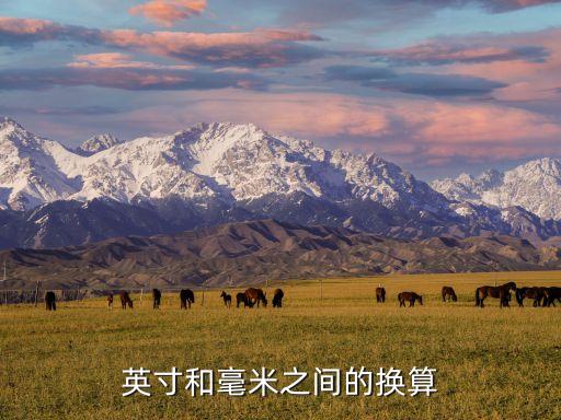 英寸和毫米之間的換算