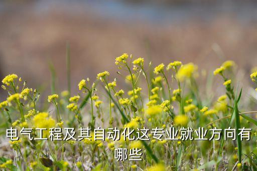電氣工程及其自動(dòng)化專業(yè)，電氣工程及其自動(dòng)化普通高等學(xué)校專業(yè)