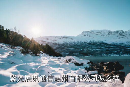 紫光展訊通信惠州有限公司怎么樣