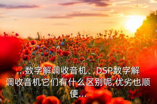 dsp的缺點大數(shù)據(jù),跑鞋的dsp大底和橡膠大底哪個好?