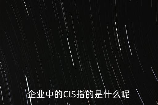 cis，企業(yè)中的CIS指的是什么呢