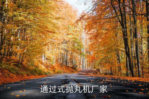 江蘇奔馬自動(dòng)化設(shè)備除銹機(jī)