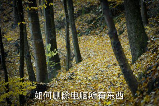 如何刪除電腦所有東西