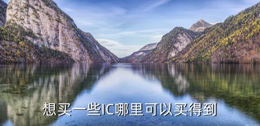 芯片商城，想買一些IC哪里可以買得到