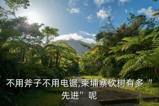 不用斧子不用電鋸,柬埔寨砍樹(shù)有多“先進(jìn)”呢