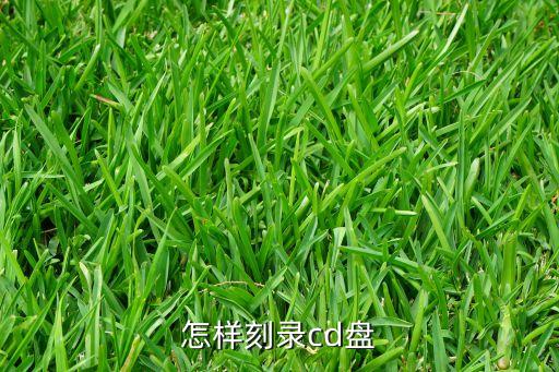 cd刻錄，CD怎么刻錄系統(tǒng)