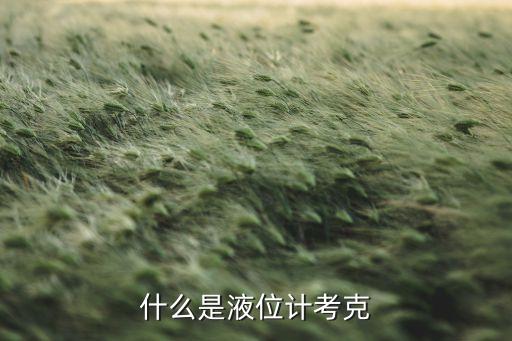 液位計(jì)，什么是液位儀