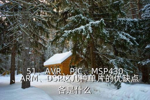 51、AVR、PIC、MSP430、ARM、DSP這幾種單片的優(yōu)缺點(diǎn)各是什么
