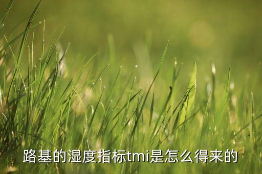TMI,我的世界tmi是什么鬼?原來是輪胎磨損標(biāo)記