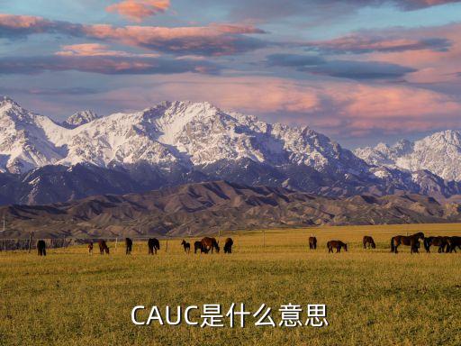 CAUC是什么意思