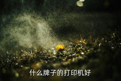 打印機(jī)排名，什么牌子的打印機(jī)好