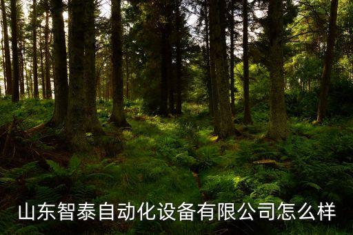 山東智泰自動化設(shè)備有限公司怎么樣