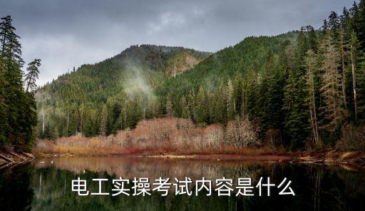 電氣自動(dòng)化專升本考實(shí)操內(nèi)容,