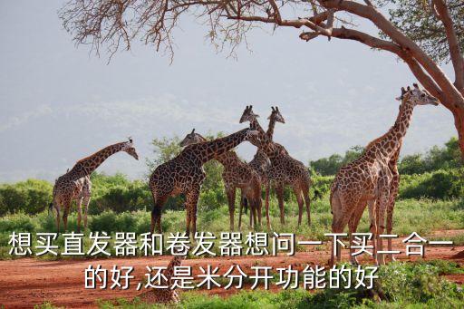 自動化設(shè)備直發(fā)器卷發(fā)器,怎么買兩用卷發(fā)器和直發(fā)器?