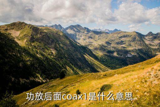 Coax接口，Coaxial 接口怎么接