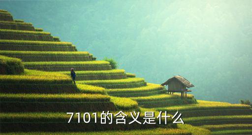 7101，三菱變頻空調(diào)仔代碼7101什么意思