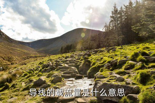 導線的載流量是什么意思