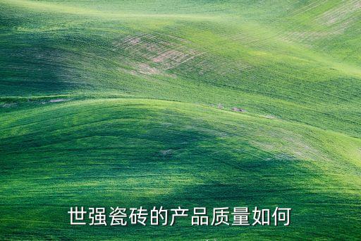 世強(qiáng)，世強(qiáng)軟件是什么