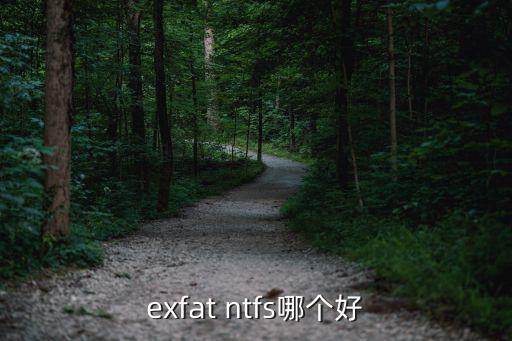 exfat ntfs哪個(gè)好
