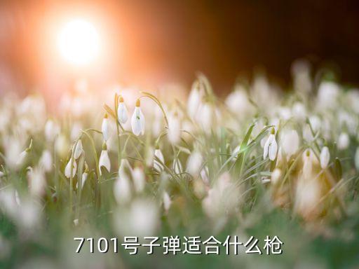 7101號子彈適合什么槍